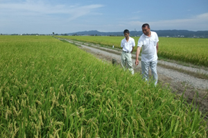 福島の避難者で米生産者が来社